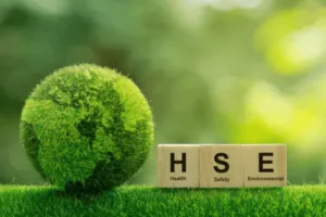 hse manager cosa fa