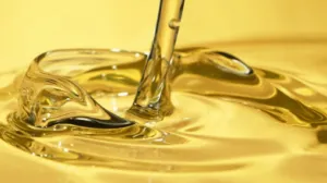 olio esausto smaltimento
