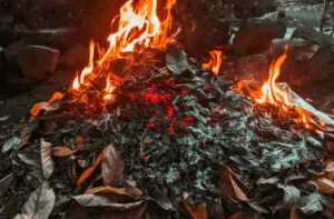 Mucchio di foglie secche in fiamme