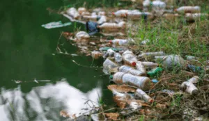 Bottiglie di plastica inquinate sulla riva del fiume