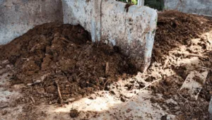 Cumuli di letame in stalla di cemento